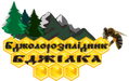 Bdzholorozplidnik "BDZhILKA"